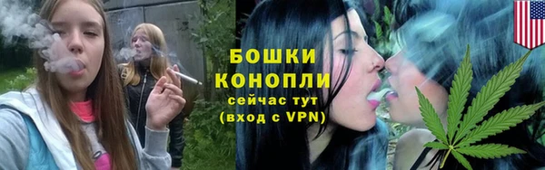 ALPHA-PVP Осинники