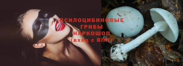 крисы Алексин