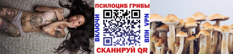 наркошоп  Моздок  Псилоцибиновые грибы ЛСД 